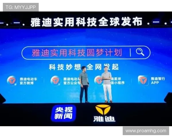 皇冠登录中国官网安全登录指南，保障个人信息安全的实用技巧