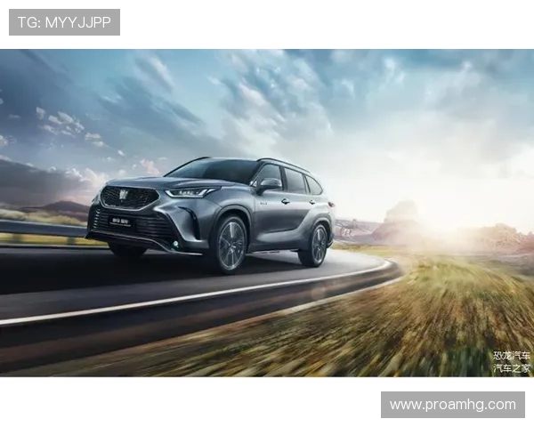 皇冠的保养与收藏指南,延续其华丽与价值的最佳方法