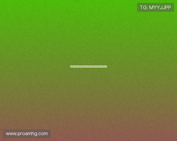 永利博官网最新平台安全可靠，投注体验尽享高品质服务