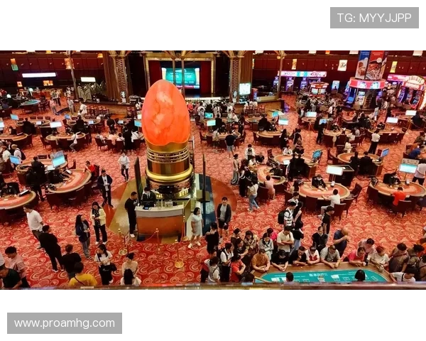 澳门有几家赌厅目前有哪些主要的赌厅设施介绍