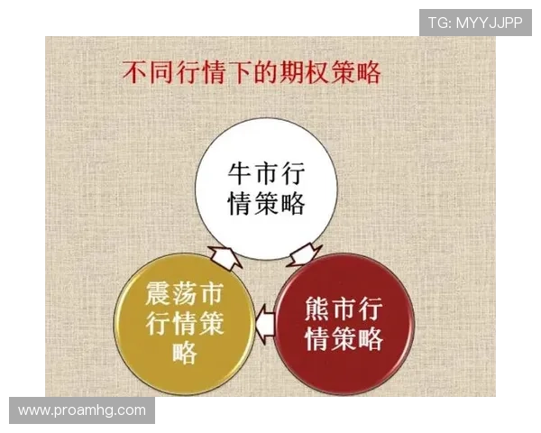 皇冠平台开户维护安全的最新措施与风险控制策略介绍 皇冠平台开户维护安全的最新措施与风险控制策略介绍