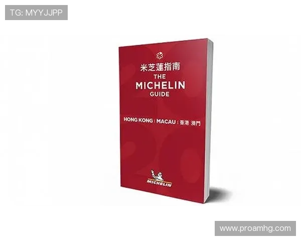 澳门总统网站app常见问题与客服支持指南，提供专业解决方案帮助用户顺利使用平台